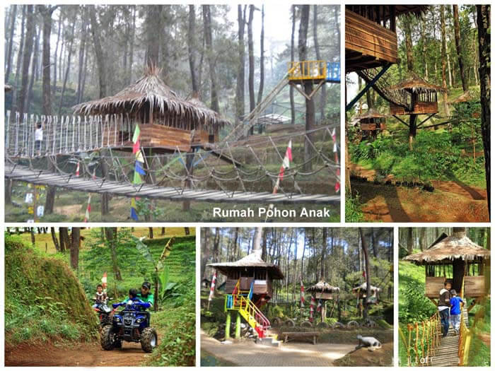 wisata-alam-grafika-cikole-lembang