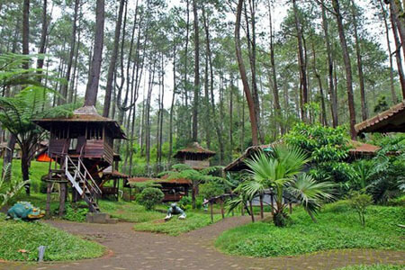 Tempat Wisata Outbound Murah-Bumi-Perkemahan-Cikole