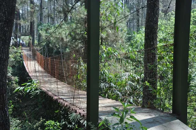 Zone 235-outbound Lembang