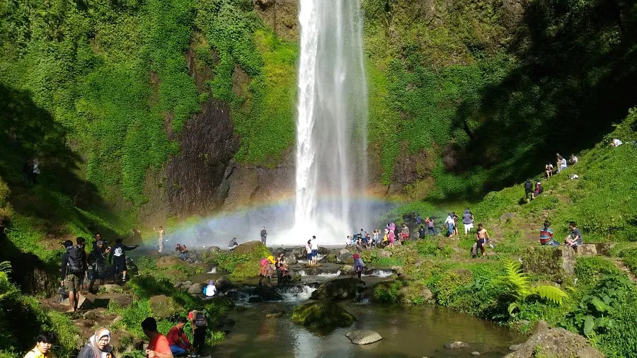 Natural Hill Cisarua Bandung: Hidden Gem untuk Liburan Keluarga yang Tak Terlupakan