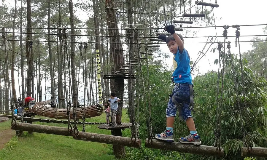 Treetop Adventure Park Lembang: Rasakan Sensasi Petualangan di Ketinggian Hutan Pinus